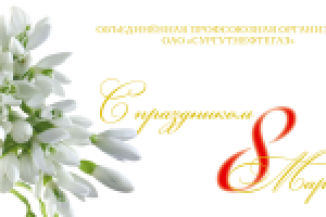 Работа 1705233