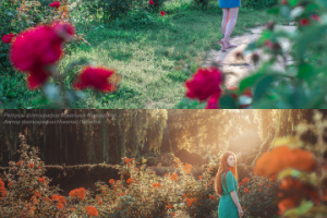 Ретушь, тонировка.