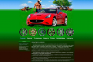 Шинный центр «Америка»