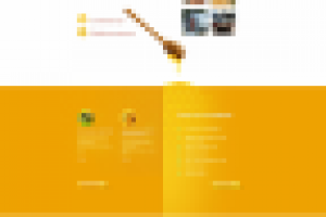 Компания “Горный улей”