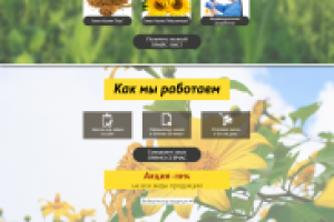 Работа 3499703