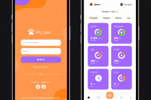 Мобильный интерфейс приложения