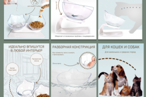 Инфографика