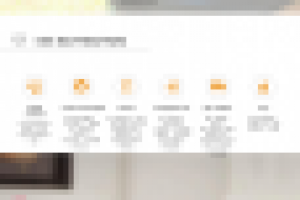 Коробочки для любимцев Buddy Box