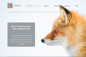 Зоомагазин (Работа создавалась для портфолио)