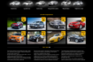 Аренда авто с водителем