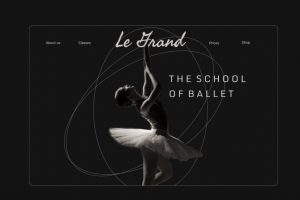 Ballet school concept