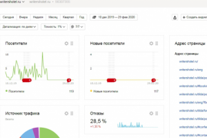 Яндекс Метрика