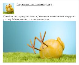 img3980965.png