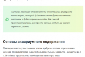 Информационные статьи для различных сайтов