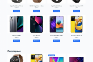 Интернет магазин на Wordpress