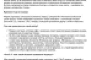 Мимимишки: Текст для страницы интернет магазина плюшевых мишек