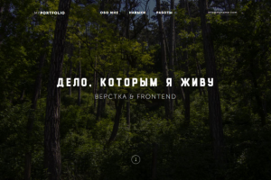 Пример сайта-портфолио