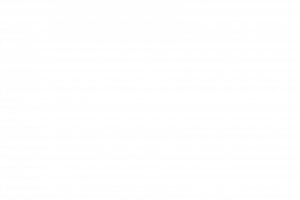 Бланк анимационной студии (основной)