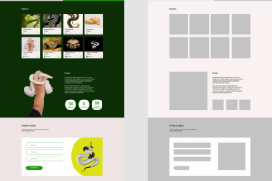 магазин змей