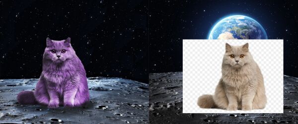 img4304898.png