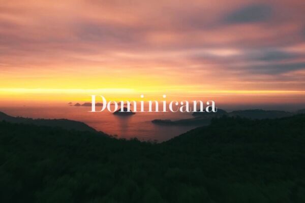 img4304591.png