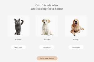 сайт интернет-магазина