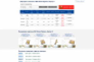 Программирование сайта жилого квартала "Новое Мурино"