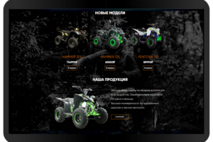Производитель мототехники РМОТО