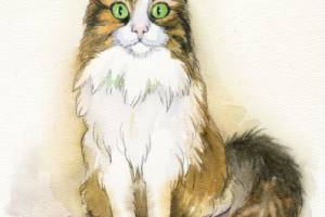 Акварельный портрет кошки Тамары
