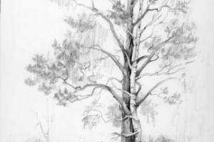 Рисунок карандашом