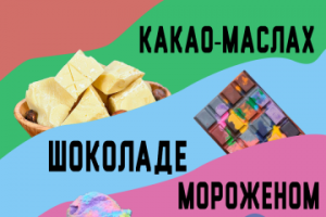 Два варианта инфографики