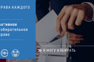 ИЗБИРАТЕЛЬНАЯ  СИСТЕМА