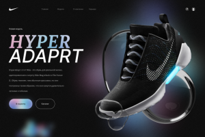 Работа от заказчика для Nike