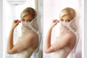 Работа 1235309