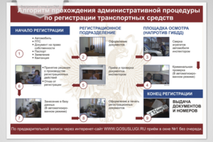 Работа 3464394