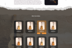 GuitarShop