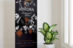 Roll up для профессиональной фотостудии "AURORA"