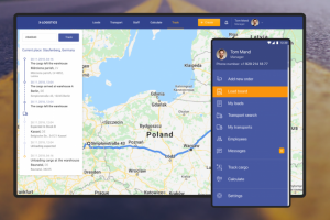 Система управления транспортом ( TMS )