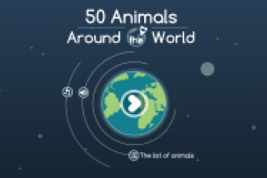 Работа 2455874