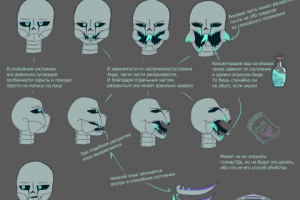 Строение головы одного из своих персонажей