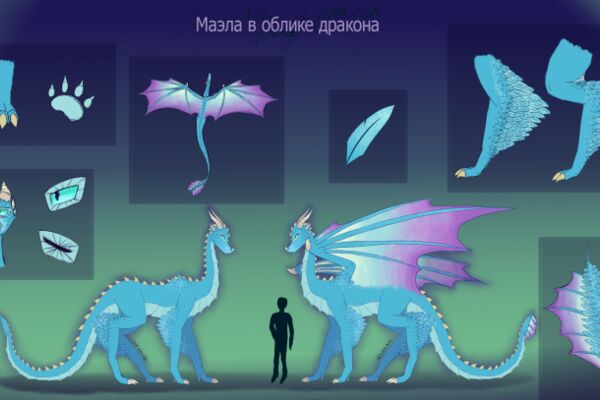 img4299541.png