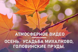 Атмосферное осеннее видео. Усадьба Михалково, Головинские пруды.