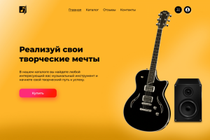 Магазин музыкальных инструментов