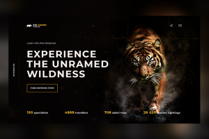 Первый экран сервиса сафари туров
