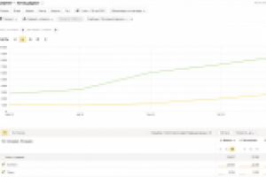 Контекстная и поисковая рекламные кампании в Яндекс.