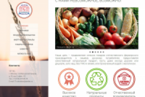 ООО ТД Алекс и Алекс