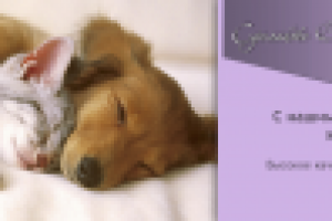 Баннер на распродажу