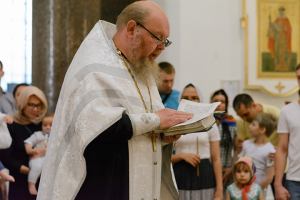 Работа 3709874