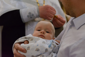 Работа 3709862