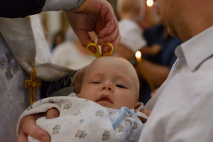 Работа 3709860