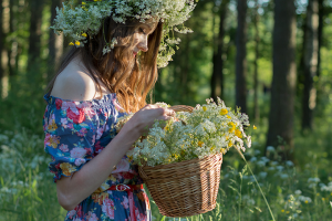 Работа 3709831