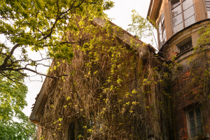 Работа 3709819