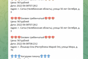 Бот для автоматизации работы поставщиков на Вайлдберриз