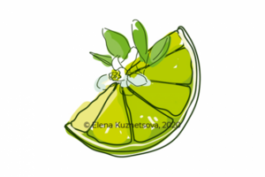 Lime and Mojito